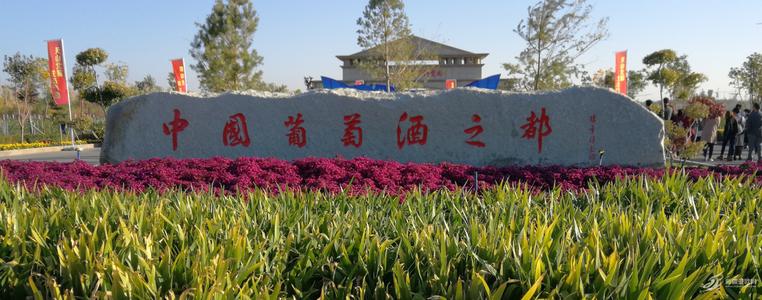 守護“中國葡萄酒之都”， 上百臺優(yōu)測溫設備應用于新疆瑪納斯縣